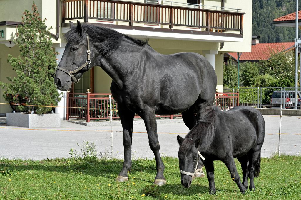 Apartments Zum Grian Bam Ried im Zillertal Exterior foto